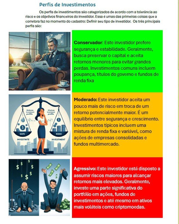 Conheça os perfis de investidor